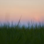 Legato & Improvisation